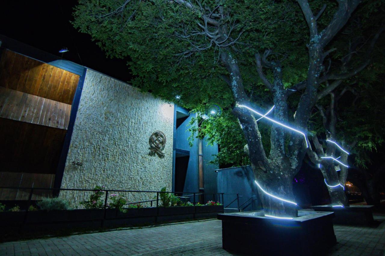 Hotel Cumbres Del Sur Pucón Eksteriør bilde